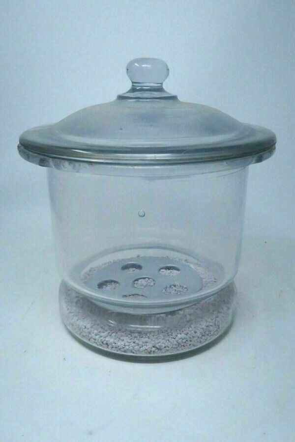 Pyrex 210mm I.D. Laboratory Glass Desiccator with Lid & Plate