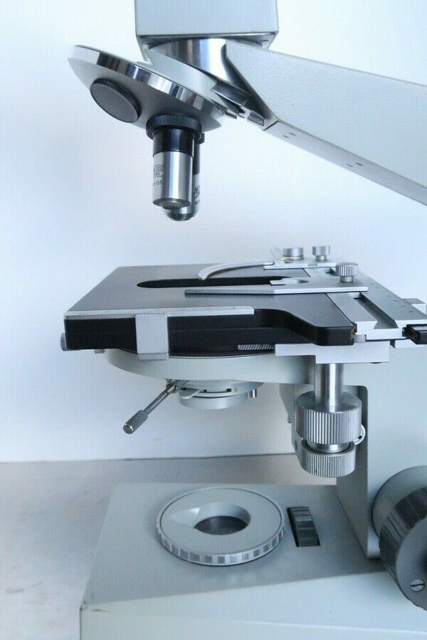 Carl Zeiss Jena Ergaval Vintage Compound Binocular Microscope 10X 40X Objectives