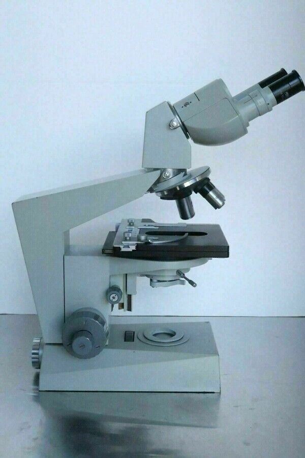 Carl Zeiss Jena Ergaval Vintage Compound Binocular Microscope with 10X 40X 100X