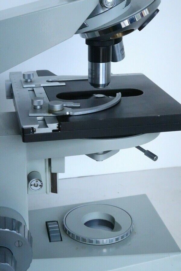 Carl Zeiss Jena Ergaval Vintage Compound Binocular Microscope, 10X 40X Objective