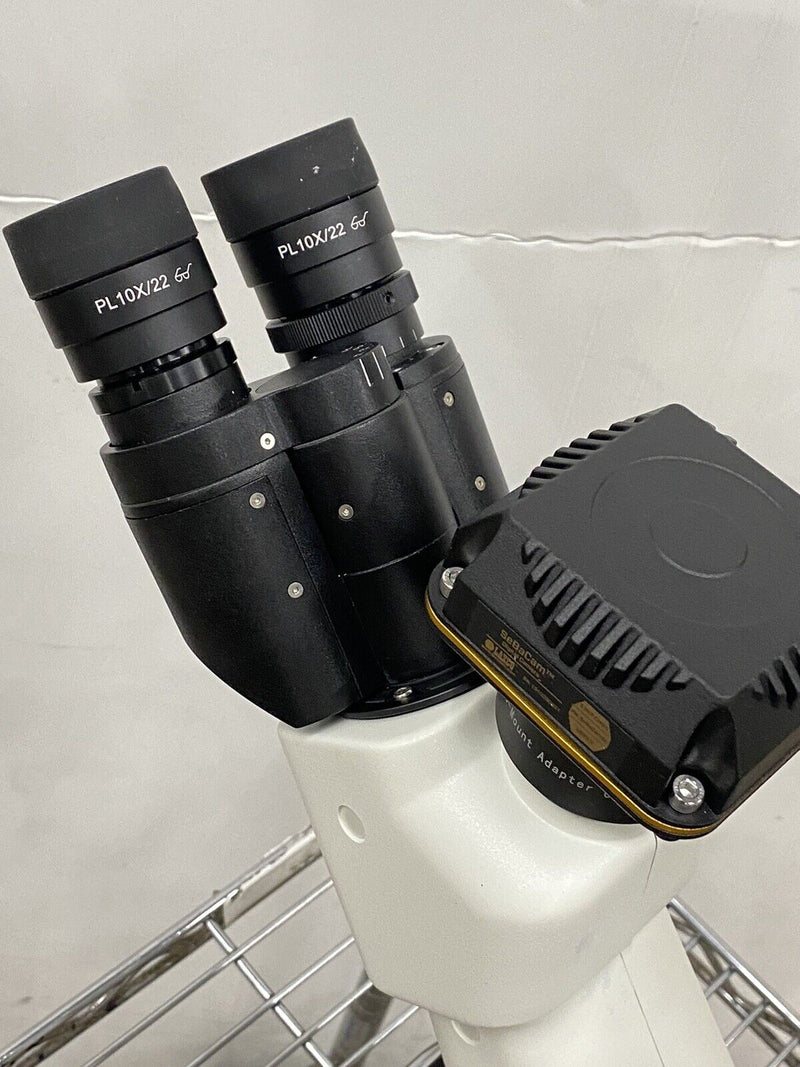new Laxco LMI-3000 LMI3-PH1 Inverted Phase Contrast Microscope + SeBaCam 5C Cam